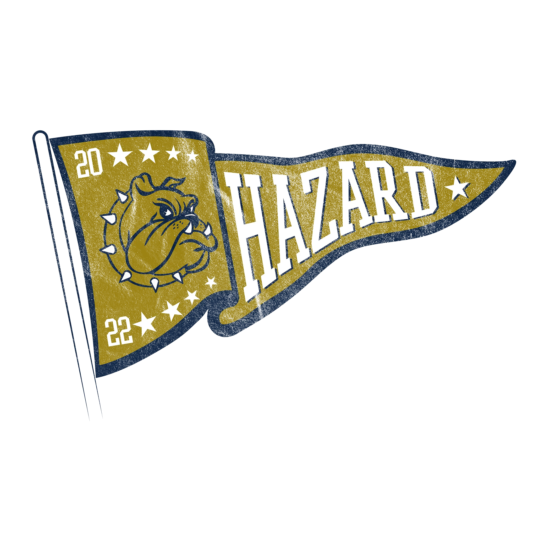 HS273